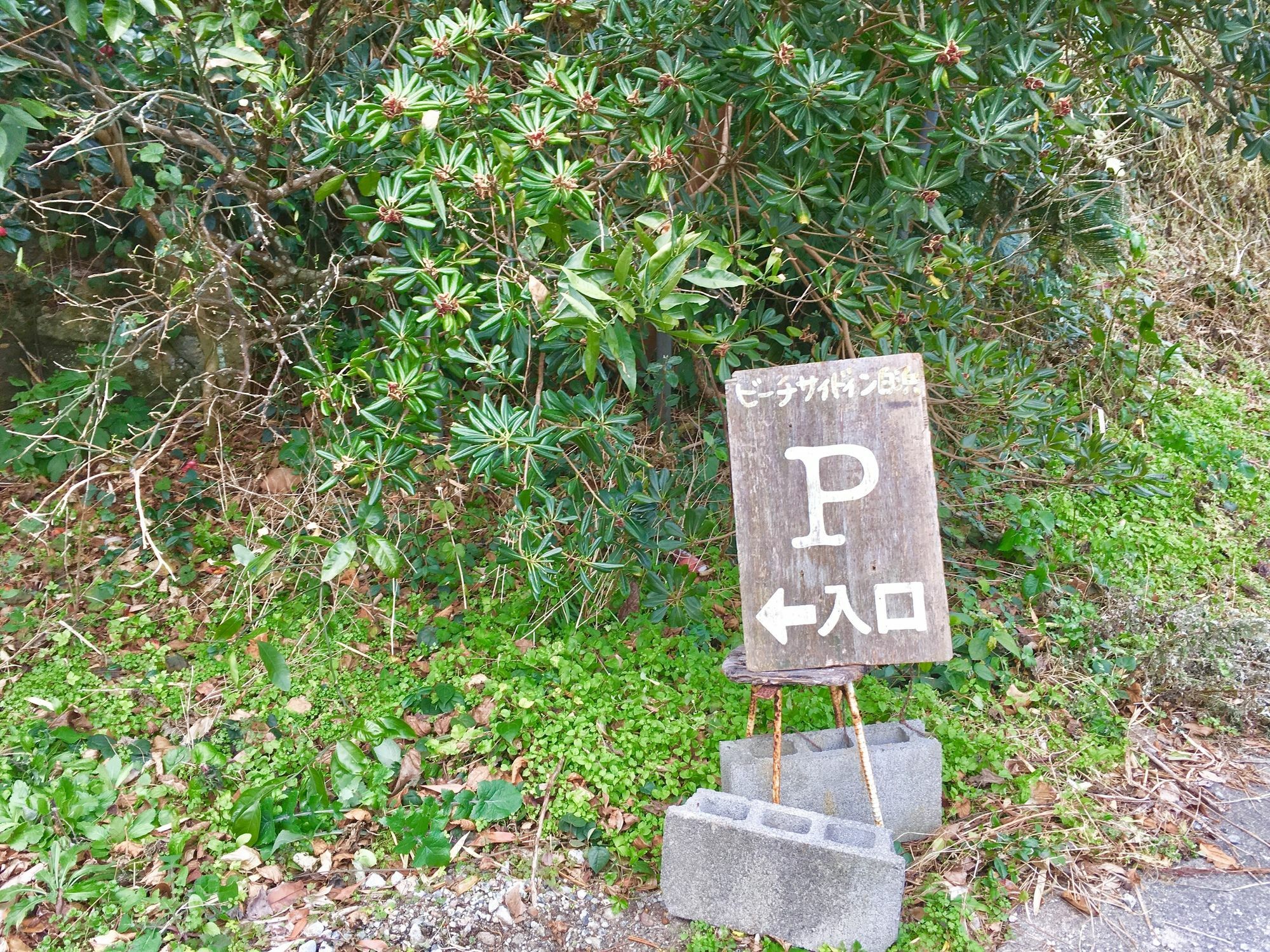 Beach Side Inn Shirahama Сімода Екстер'єр фото